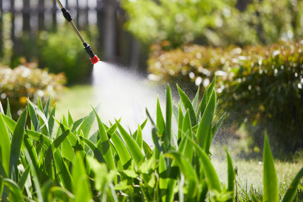 Void Injection for Cockroach Colonies in Lake Land'Or