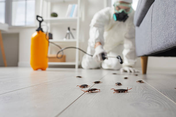 Commercial Kitchen Cockroach Control in Lake Land'Or